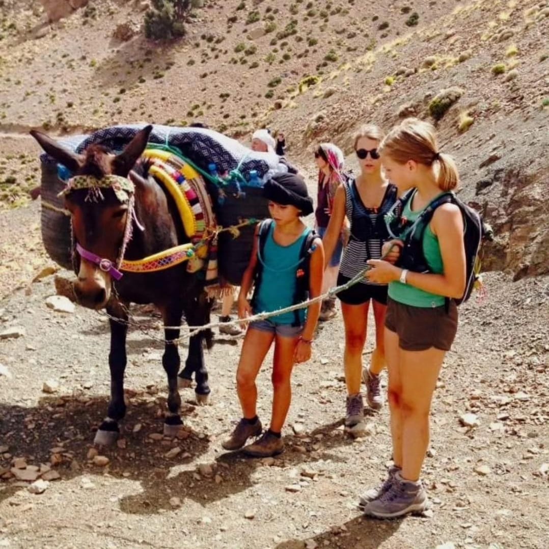 3 days Mount Toubkal