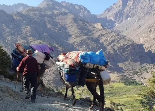 5 days Mount Toubkal