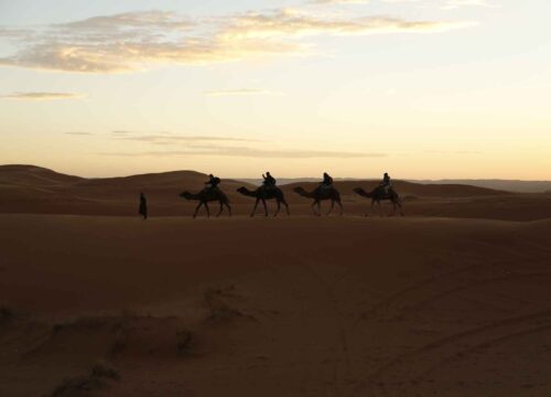 3 days to Sahara Desert