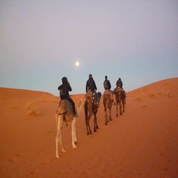 Camel Ride in Sahara