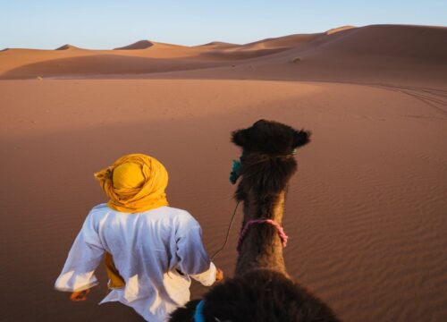 5 Reasons to Visit Sahara Desert