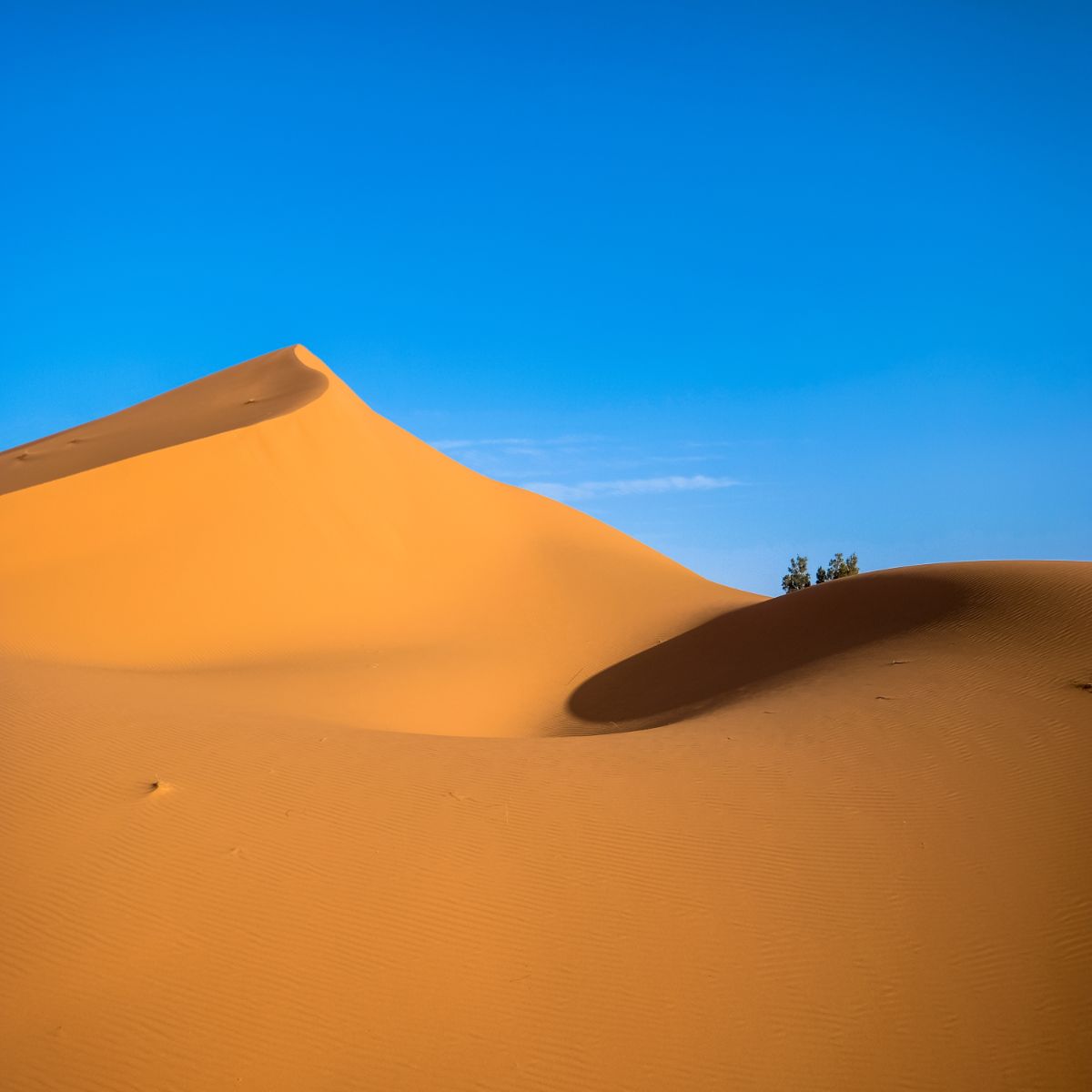 Sahara Desert – 4 Days/3 Nights