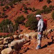 best trekking in Morocco, Contact us