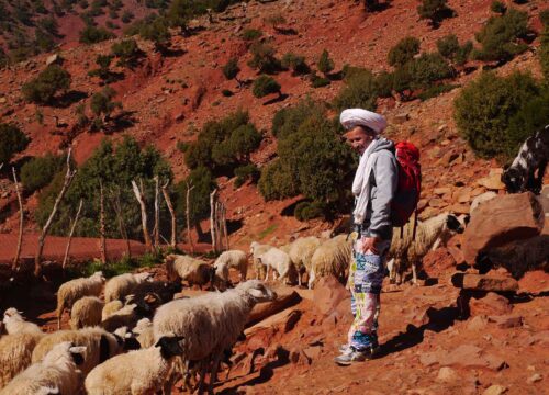 The Best  Time to Go Trekking in Morocco: