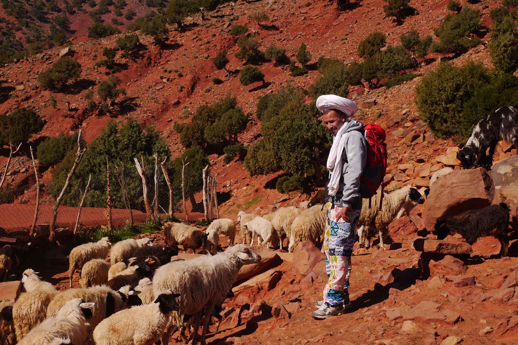 best trekking in Morocco, Contact us