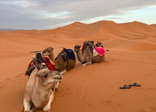 Morocco Adventure Travel